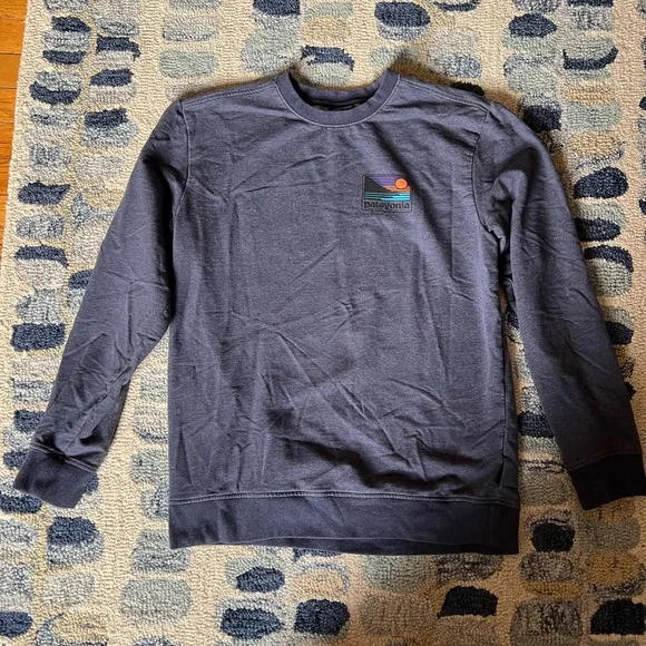 Patagonia Men's Blue/Gray Crewneck - Picture 1 of 4